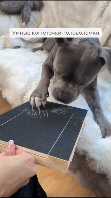 А чем пользуетесь вы?