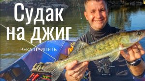 Ловля судака на реке Припять