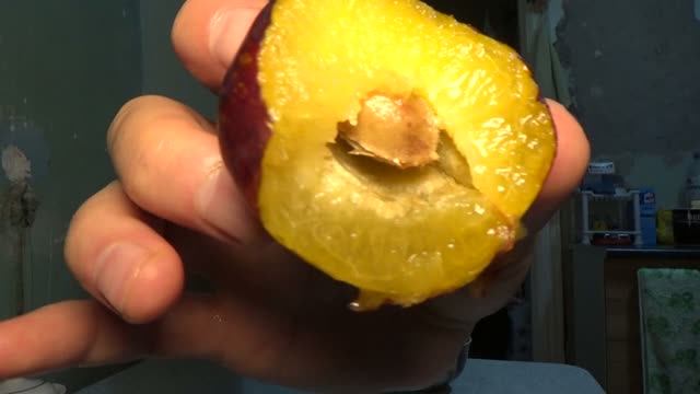 Мукбанг, слива