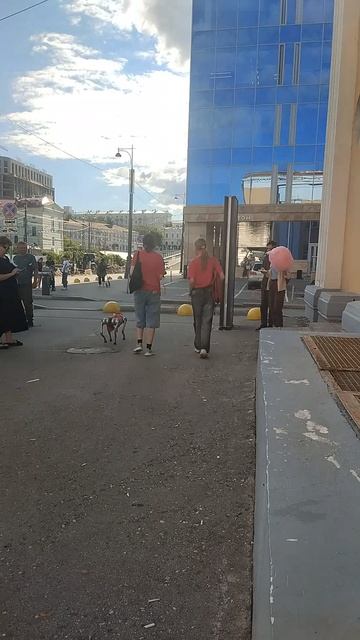 11-08-2026  Странная собака