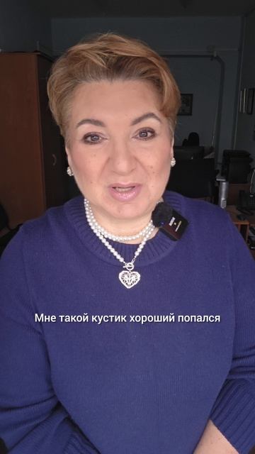 Собрали немного черники