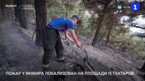 Пожар у Инжира локализован на площади 15 гектаров