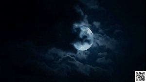 Поет нейросеть. Афанасий Фет - На заре ты ее не буди.inDI