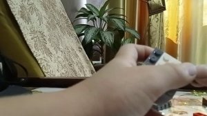 Как сделать декор для дома из Lego