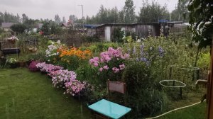 Дачные будни. 🧅🍅🍎🍏