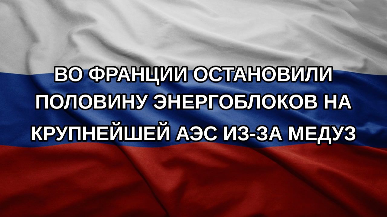 Во Франции остановили половину энергоблоков на крупнейшей АЭС из-за медуз