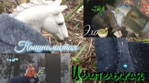 Собираю целительскую Эхо]//лошади//шляйх/не только//в описание--﹥// СНЕЖНОВЕЙНАЯ#