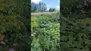 ВОСКРЕСЕНЬЕ –ДЕНЬ ДОБРЫХ ДЕЛ ❤️🙏