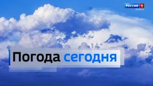 Погода в Донецкой Народной Республике 11 августа