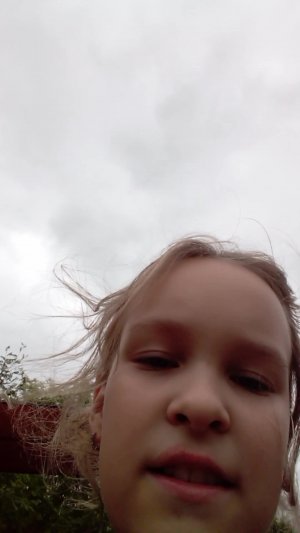 б