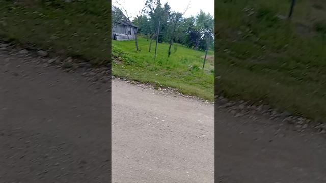 призрочная собака 2 серия