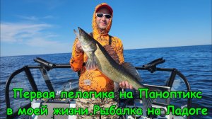 Первые пелагические рыбы на Паноптикс. Так же окунь и щука на троллинг. Отличная рыбалка на Ладоге.