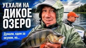 ЧЁРНЫЕ ОКУНИ, ТОРФЯНЫЕ ЩУКИ И ЯЗИ - РЫБАЛКА НА ДИКОМ ОЗЕРЕ