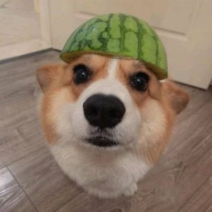 фигня