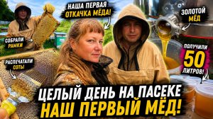 Первый настоящий мед! Откачали 50 литров — целый день на пасеке