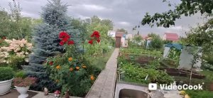 Влог/346/ Рыбка в садже/ Гостинчик из Питера/ Накормила родственников/Что купила..