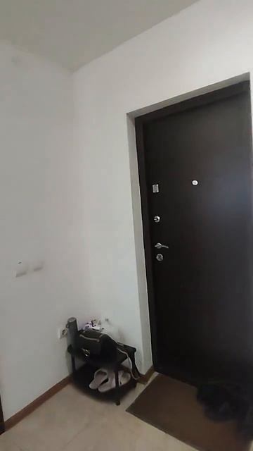 квартира Мурино