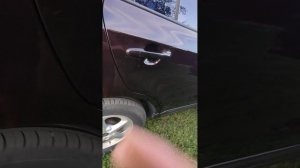 1000139012.mp4