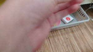 первое видео с собачками