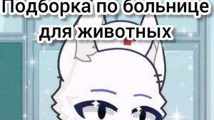 подборка по больнице для животных