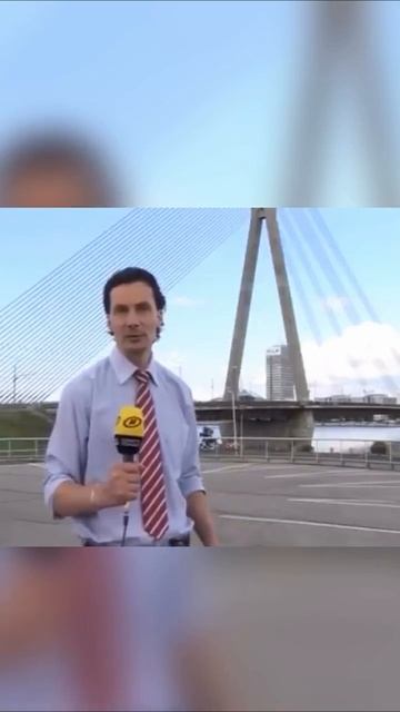 В камере оса ОСА!!!!