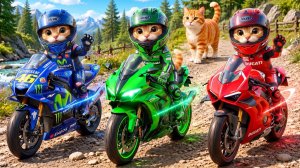Мама-кошка подстригает шерсть на ферме и делает тигровую шапку для котят дома🐾🎩🐯