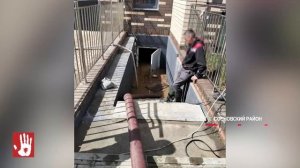 Вода затопила несколько квартир после ливня в ЖК «Привилегия»