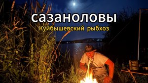 Куйбышевский рыбхоз  рыбалка Краснодарский край