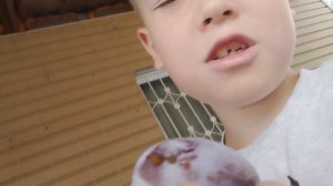1000001014.mp4
