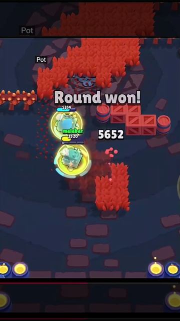 Malabar Prime?