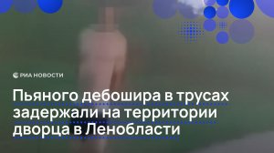 Пьяного дебошира в трусах задержали на территории дворца в Ленобласти