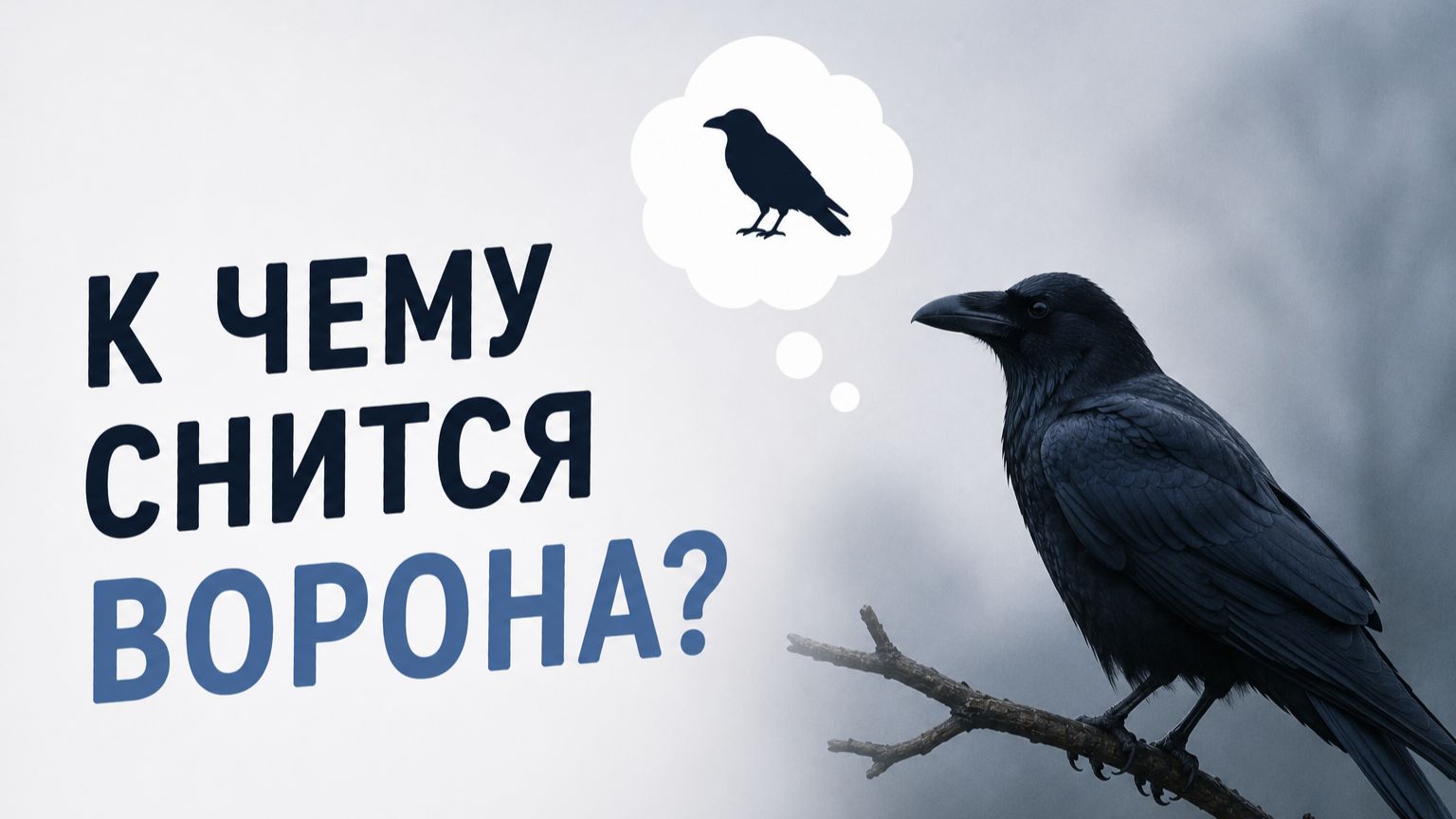 К чему снится ворон и ворона — полное толкование для женщин и мужчин