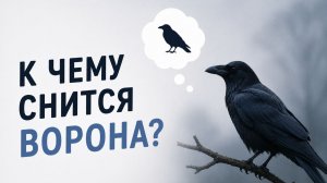 К чему снится ворон и ворона — полное толкование для женщин и мужчин
