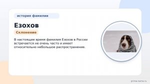 Фамилия Езохов: происхождение, значение и склонение