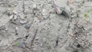 Занимательная минералогия