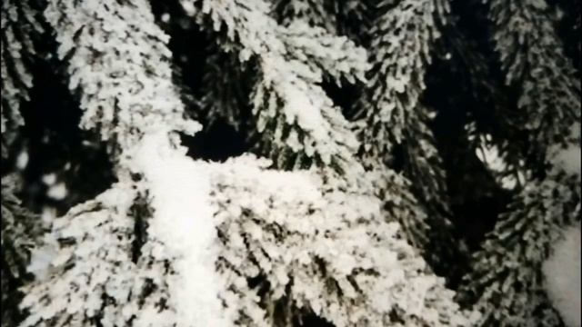 Ёлочки зелёные иголочки! Автор Резникова Юлия.