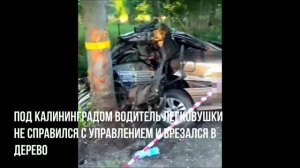 Под Калининградом автомобиль врезался в дерево, погибли трое человек:машина разлетелась на части.