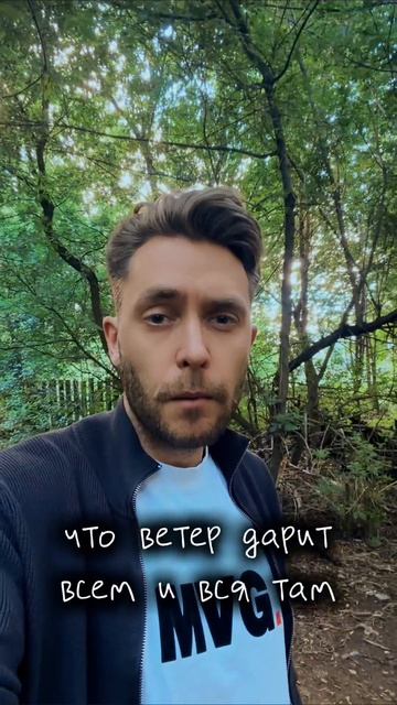 Максим Сентяков - Расстилайся, гладь незримой дали… (стихотворение)