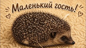 Алиса Неземная. 11 августа 2026 г.