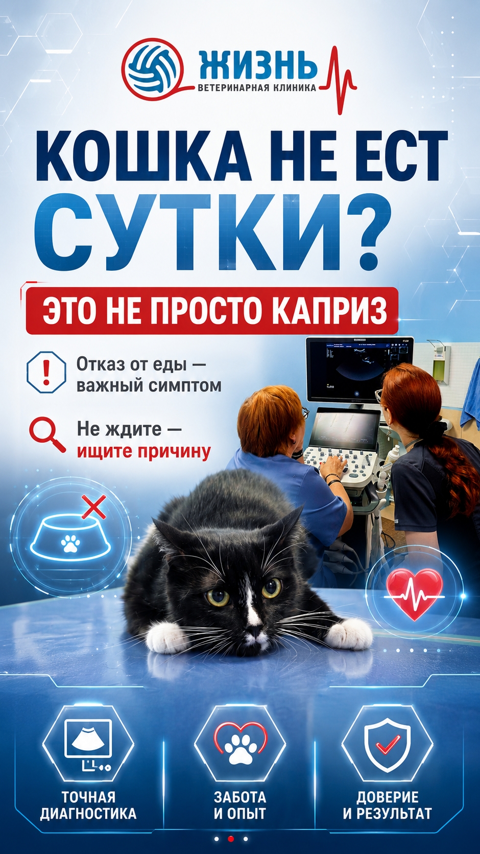 Кошка отказывается от еды