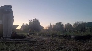 Андрей делает турники