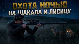 охота на шакала и лисицу летом в волгоградской области 2026