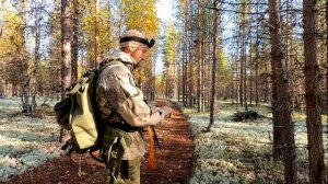 Ловлю щук в болоте.Медвежонок с белыми ушами. Охота на боровую дичь.