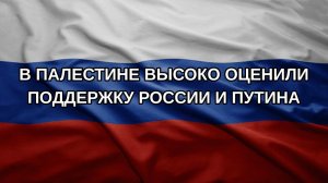 В Палестине высоко оценили поддержку России и Путина