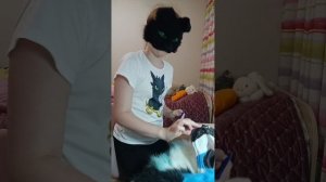 Обзор на то как я офуряла раптора🪡