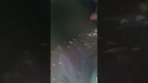 отыхаю