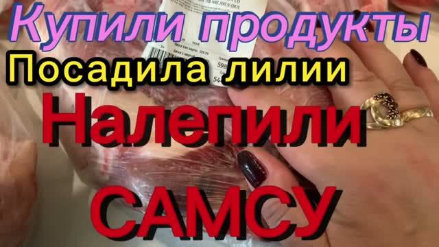 Купили мясо! Посадила лилии! Налепили самсу!