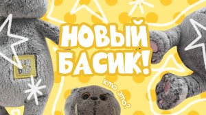 НОВЫЙ КОТ БАСИК | Документы для Басиков