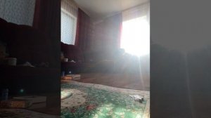 Ильнар с Эльдаром и с Соней играют в игру у кого больше тот получается кекс