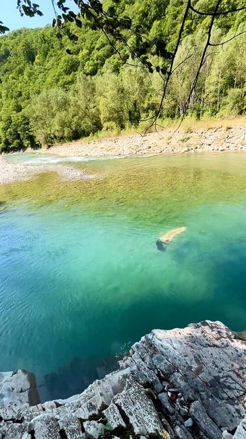 Прыжок  в воду горной реки